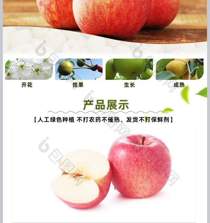 山东红富士苹果详情描述psd模板