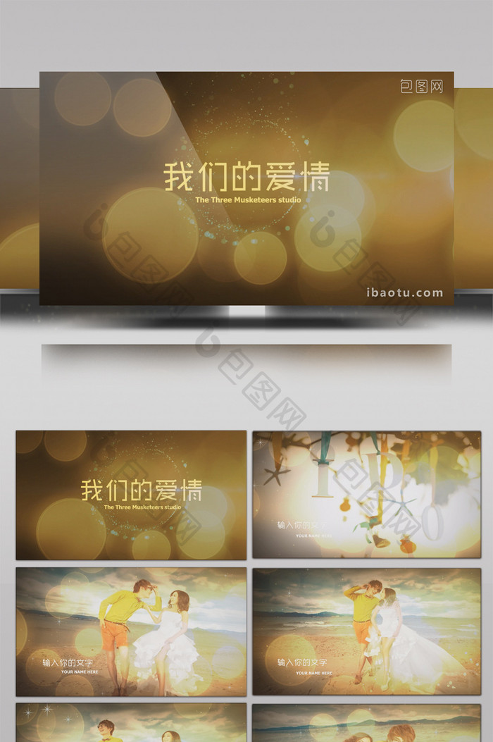 唯美金色光斑婚礼相册会声会影模板