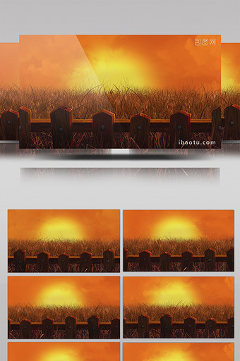 丰收栅栏外金色的麦田循环视频素材图片
