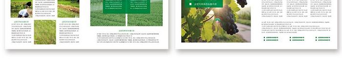 高档绿色农业宣传册