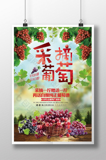 新鲜采摘葡萄水果促销海报创意海报设计图片