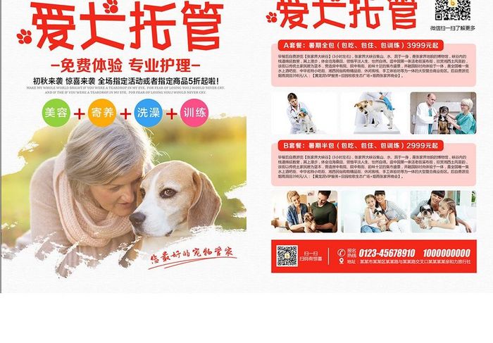 简约时尚爱犬托管宣传单设计