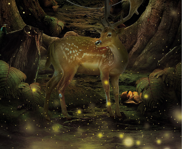 梦幻森林仲夏夜之梦图片