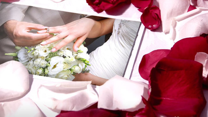 玫瑰花瓣中的珍贵爱情回忆AE相册模板