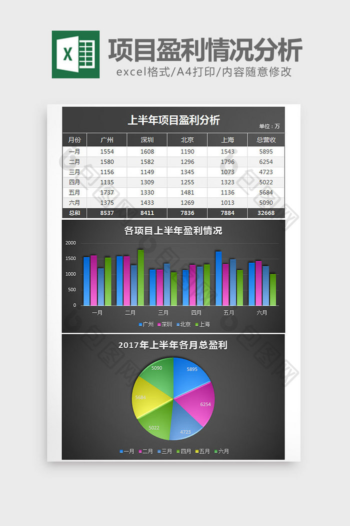 黑色实用项目盈利情况分析excel模板