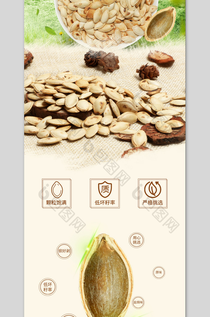清新鲜美大气时尚风格瓜子淘宝天猫详情页模