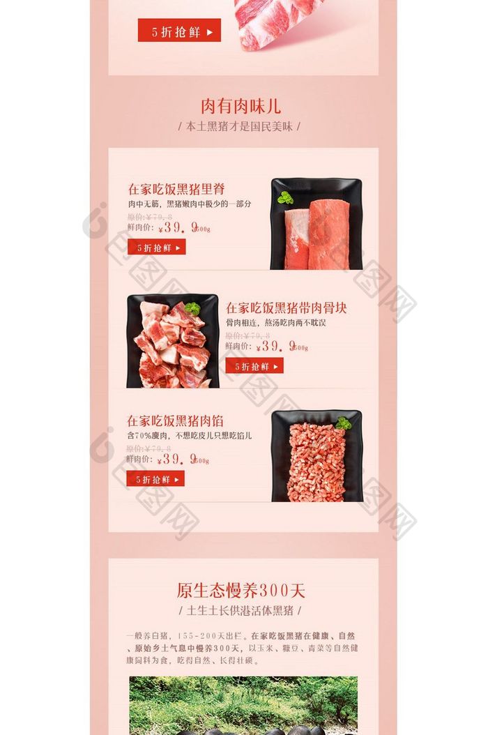 小清新简约风格黑猪肉食品淘宝手机首页模板