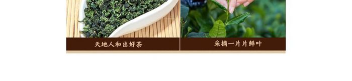复古普洱茶茶叶淘宝详情页模板