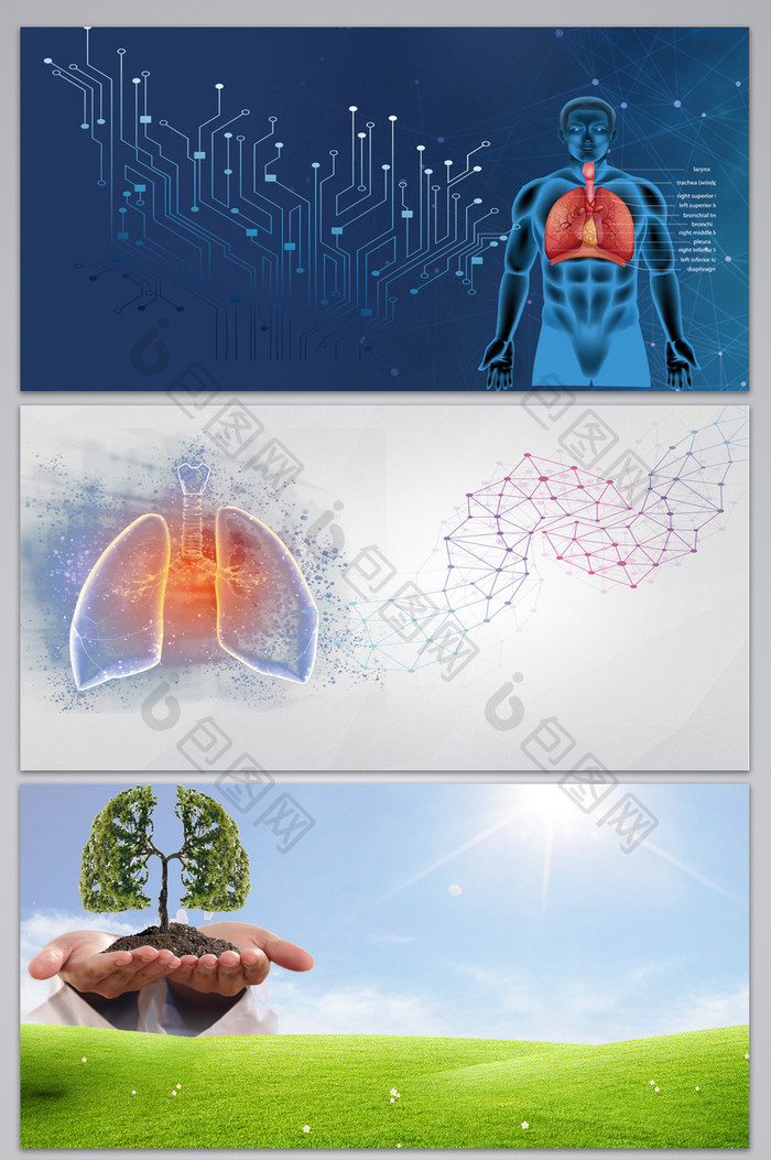 肺部健康医疗广告海报背景图