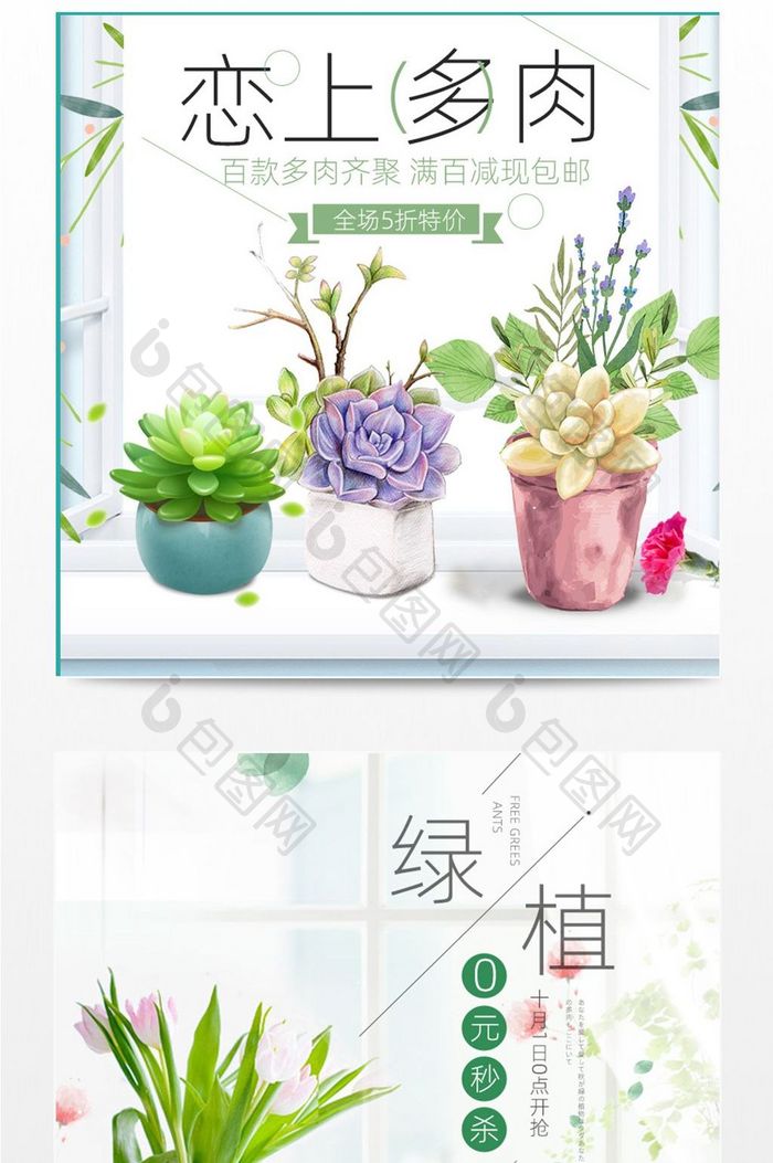淘宝天猫多肉植物主图参考 图片下载 包图网 淘宝天猫多肉植物主图参考 图片下载 包图网