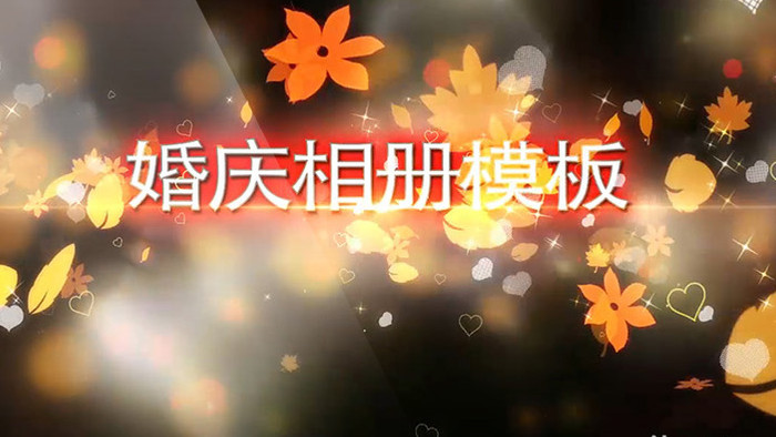 枫叶飘落特效优雅的照片宣传视频模板