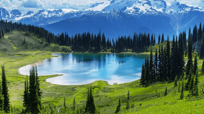 节奏感轻快的央视四台的新闻内容提要配乐