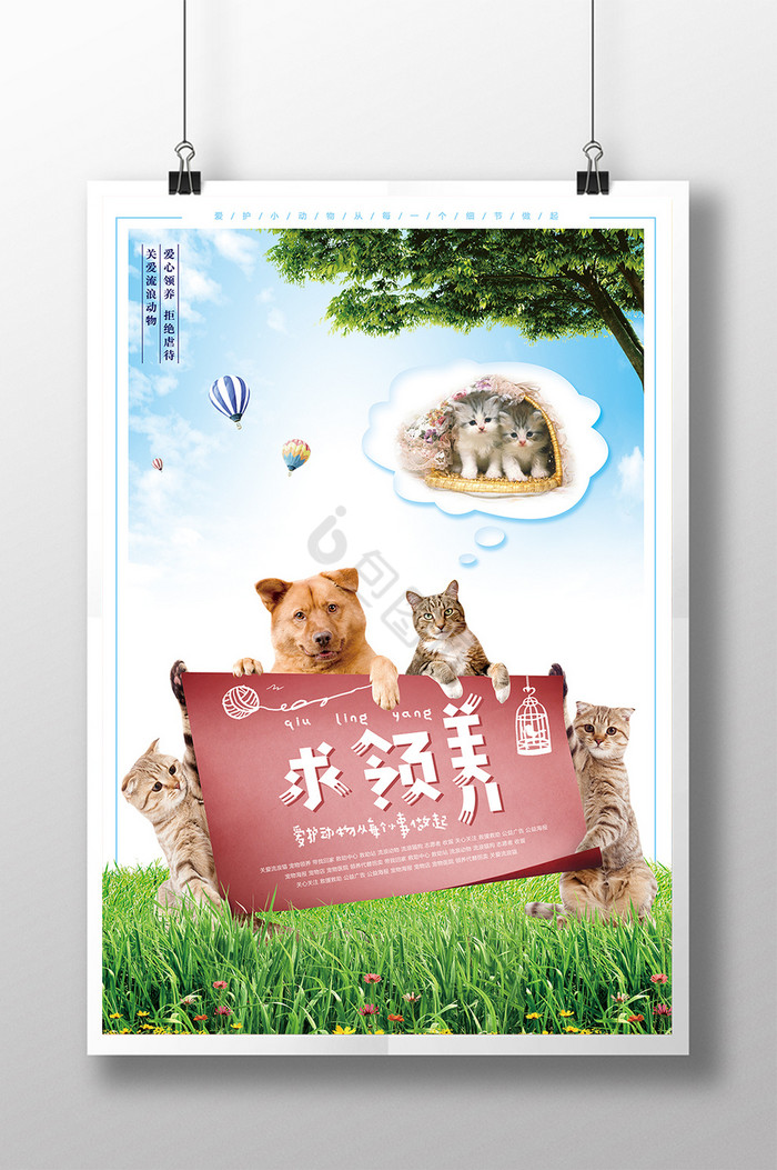 爱护小动物求收养公益