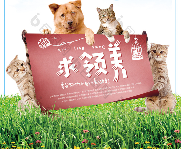 爱护小动物求收养公益图片