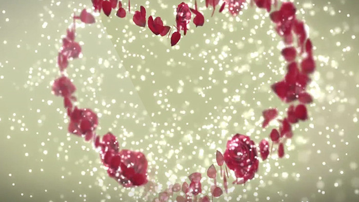 高清心形玫瑰花瓣浪漫婚礼背景视频