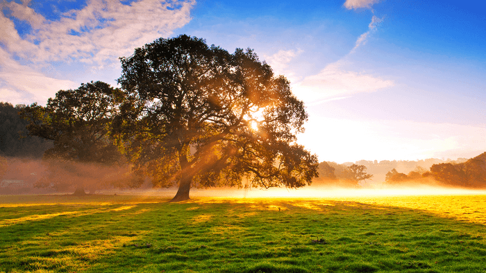 轻松欢快节奏活泼的游戏氛围音乐