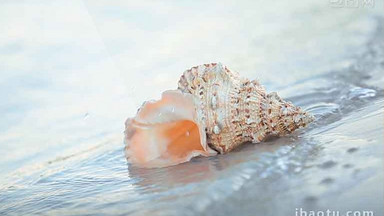 海滩图片大全_海滩模板下载_海滩设计素材