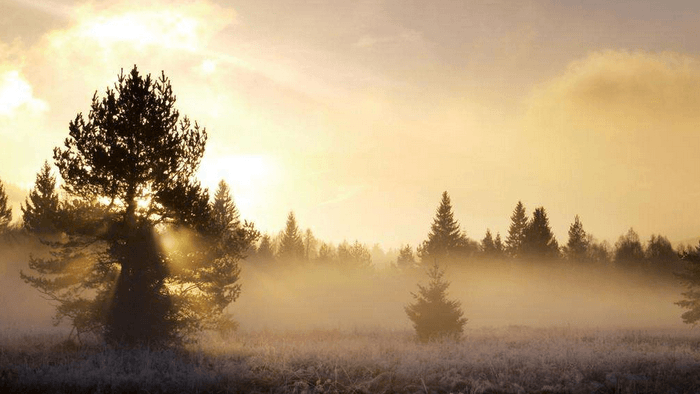 清新欢快曙光感的科技产品发布会背景音乐