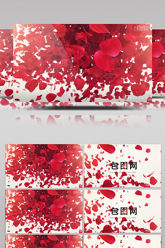 浪漫的玫瑰花瓣喷涌飞舞logoAE模板图片