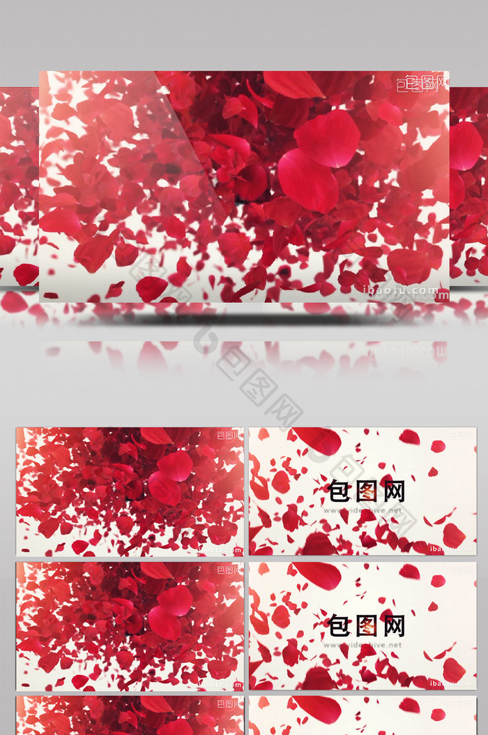 浪漫的玫瑰花瓣喷涌飞舞logoAE模板
