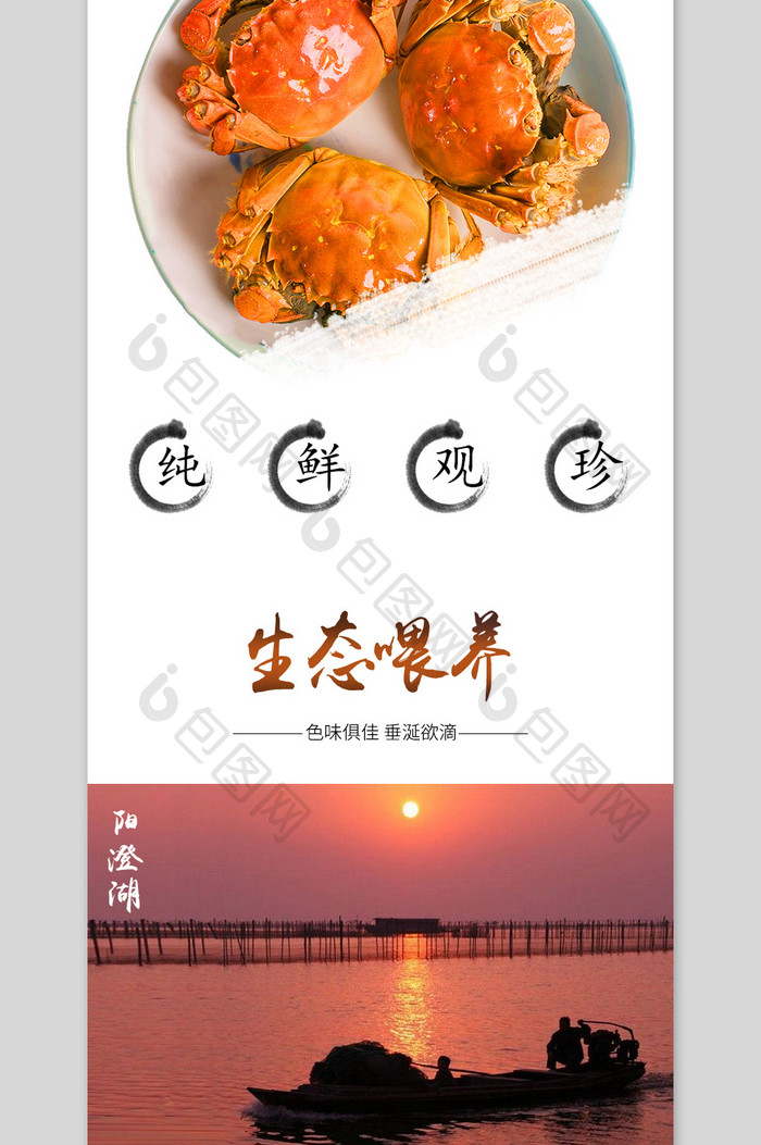 大闸蟹宝贝详情页描述分层模板PSD