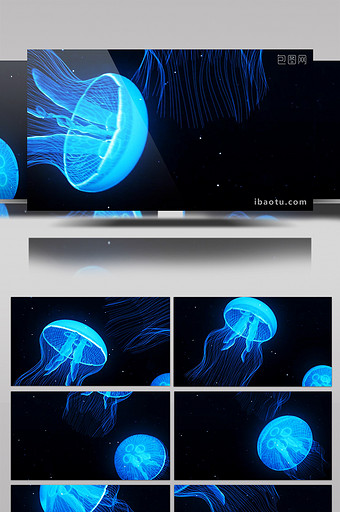 高清海洋水母背景素材图片