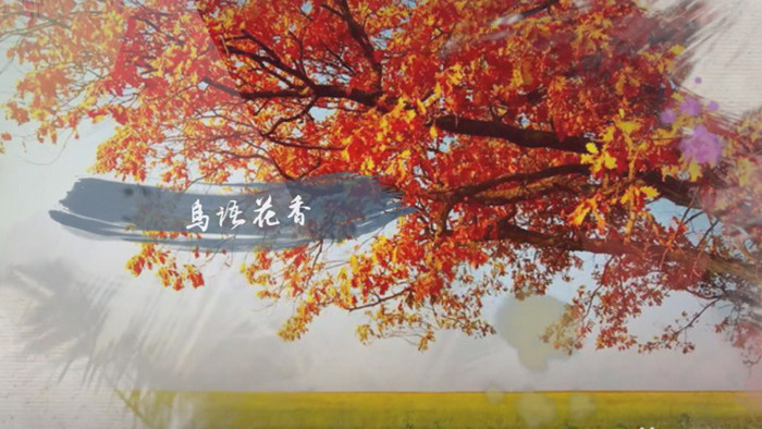 中国风水彩水墨创意图片展示edius模