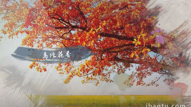 【Edius】视频免费下载_Edius视频素材