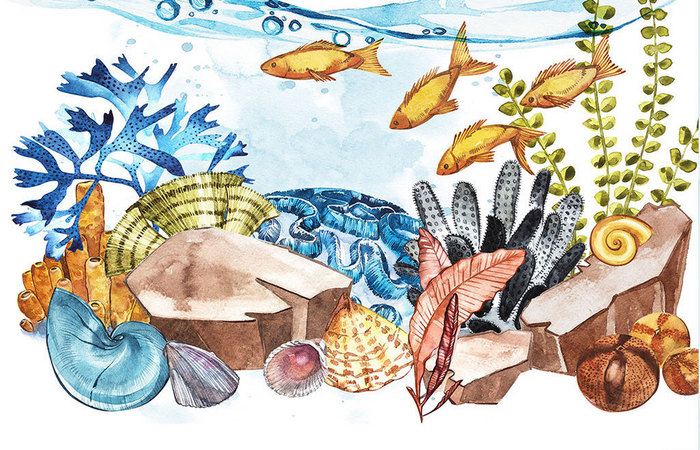创意水彩风格海洋世界公益海报