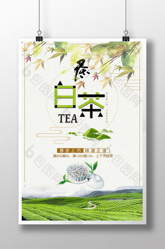 中国风白茶铁观音促销海报图片