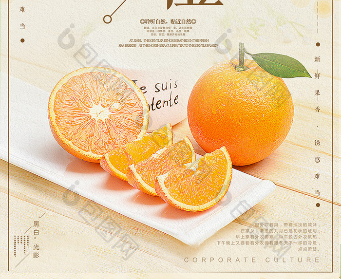 创意版式赣南脐橙海报设计