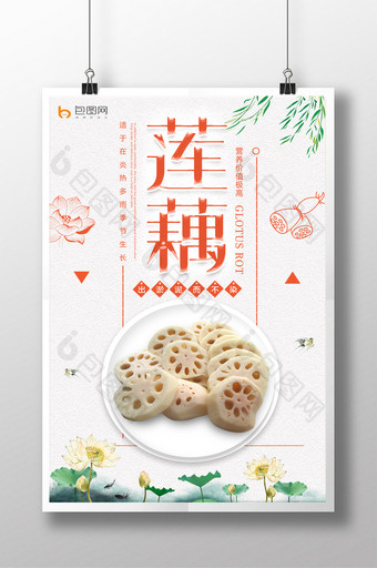 中国风莲藕荷花海报图片