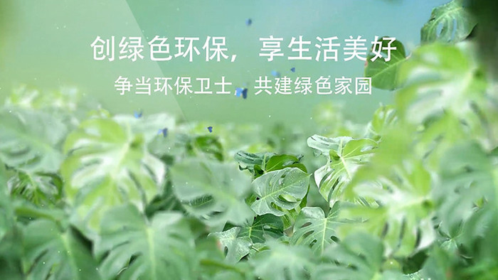 绿色环保生态环境森林蝴蝶热带雨林宣传片
