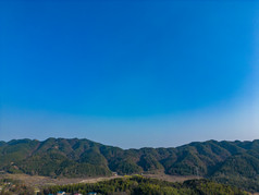 美丽乡村大棚农业种植油菜花航拍摄影图