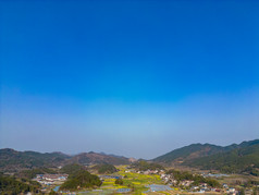 美丽乡村大棚农业种植油菜花航拍摄影图