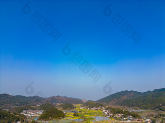 美丽乡村大棚农业种植油菜花航拍摄影图