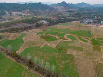 美丽乡村<strong>田园</strong>农业种植农<strong>田</strong>航拍摄影图