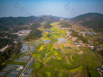 美丽乡村田园农业种植油菜花航拍图