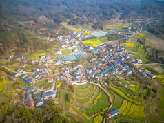 美丽乡村田园农业种植油菜花航拍图