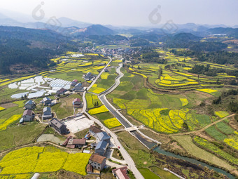 美丽乡村田园油菜花盛开航拍摄影图