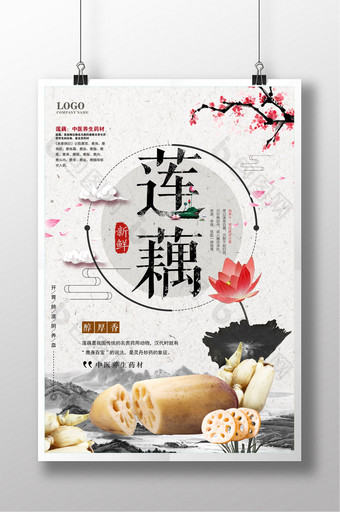 中国风白色简约新鲜莲藕蔬菜海报图片