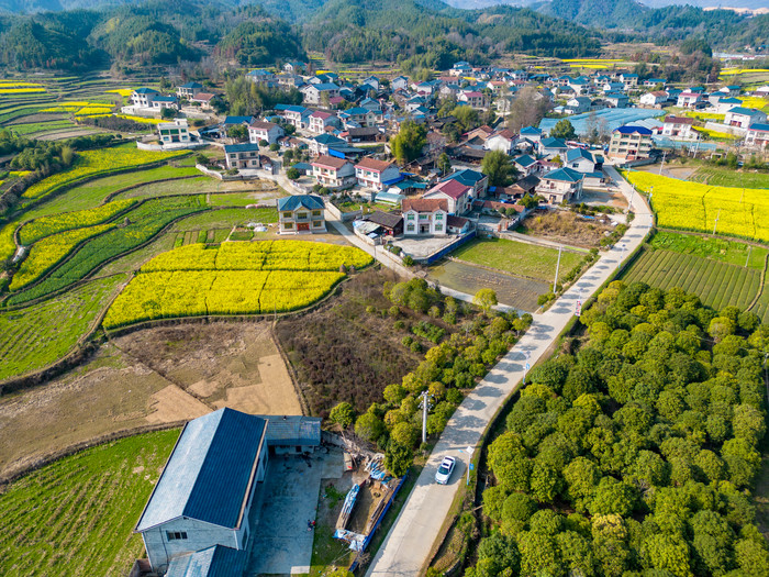 农田油菜花美丽乡村航拍摄影图