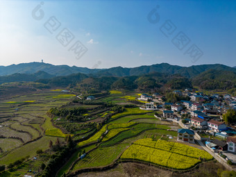 农田油菜花美丽乡村航拍摄影图