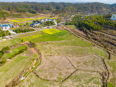 丘陵山川农田油菜花美丽乡村航拍摄影图