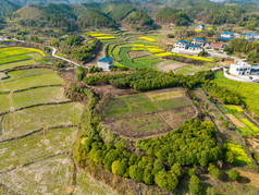 丘陵山川农田油菜花美丽乡村航拍摄影图