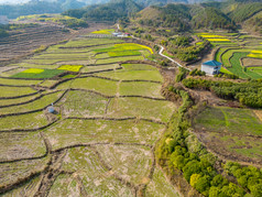 丘陵山川农田油菜花美丽乡村航拍摄影图