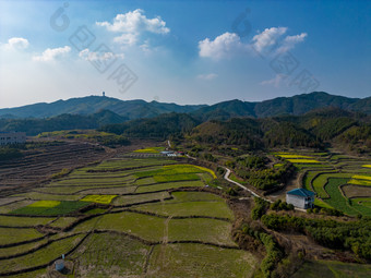 丘陵山川农田油菜花<strong>美丽乡村</strong>航拍<strong>摄影图</strong>