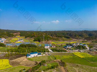 丘陵山川农田油菜花美丽乡村航拍摄影图