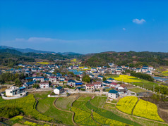 丘陵山川农田油菜花美丽乡村航拍摄影图