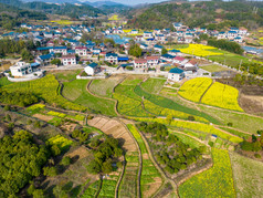 丘陵山川农田油菜花美丽乡村航拍摄影图